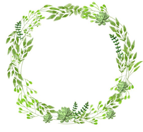 570x529 Greenery Clipart Succulents Clipart Watercolor Wreath Etsy