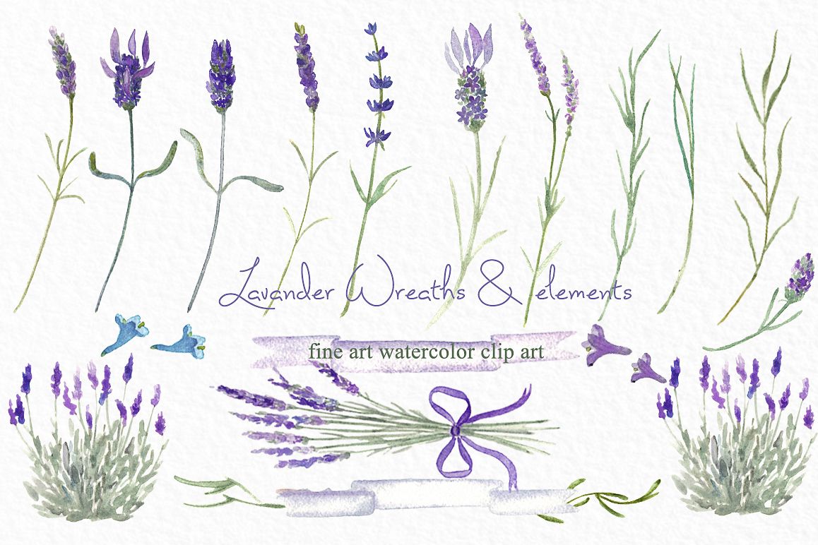 1158x772 Lavender Wreaths Watercolor Clipart