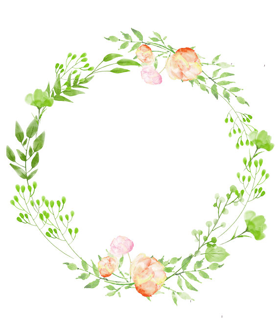 570x650 Wreath Clipart Peach Cute Borders, Vectors, Animated, Black And