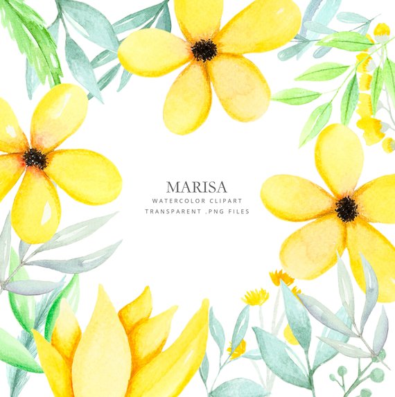 570x573 Clipart With Watercolor Yellow Flowers Leaves Watercolor All Etsy