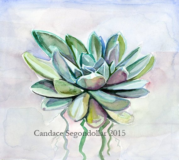 570x510 Succulent Zen Watercolor Etsy