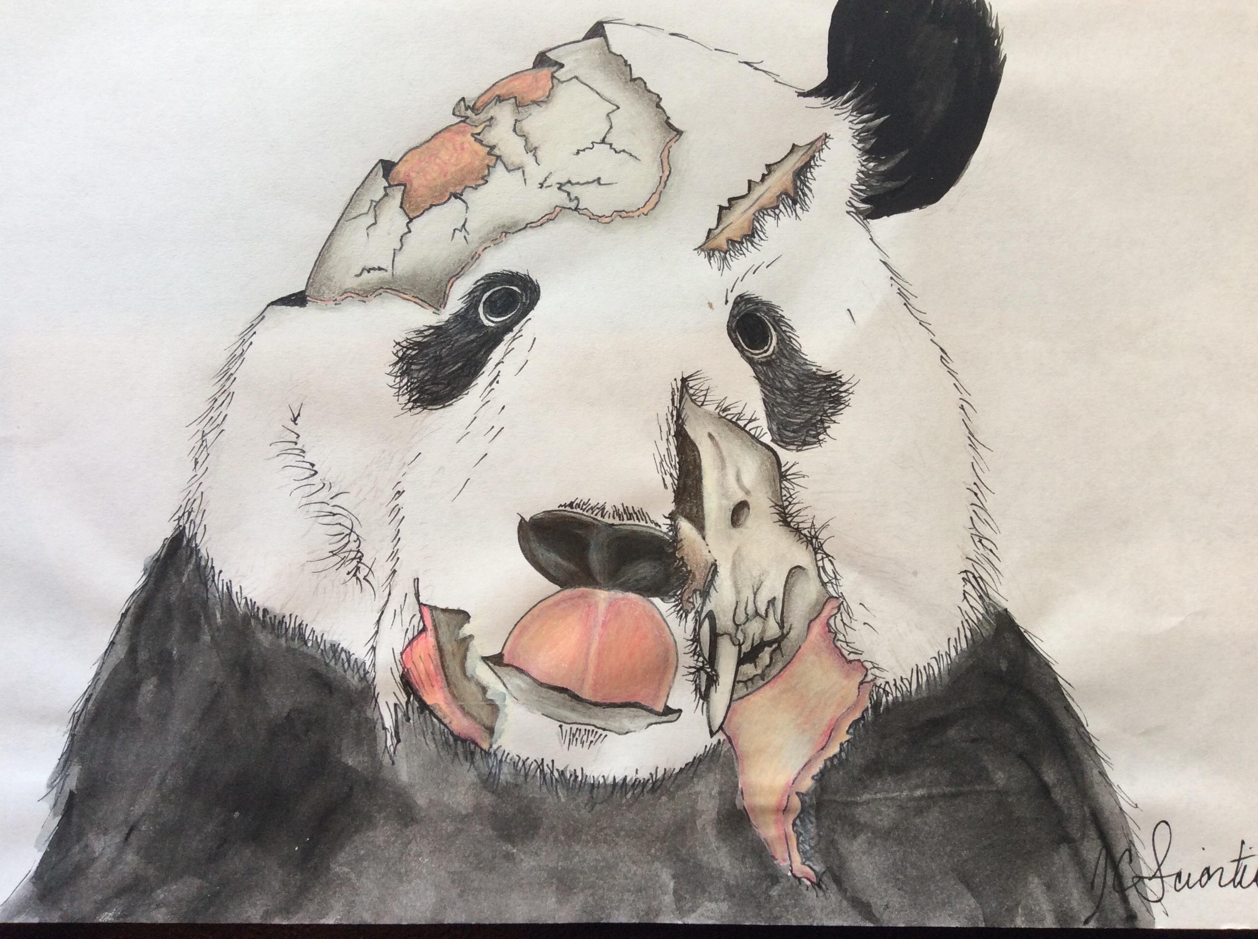 2592x1936 Panda Zombie..watercolor And Ink Watercolor