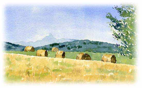 551x342 Watercolour Painting Classes In France, Led By Professional