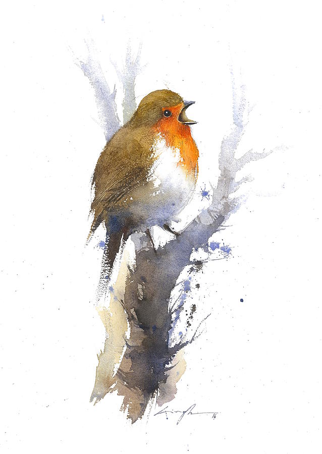 638x900 Robin Watercolour Bird Painting By Nitin Singh