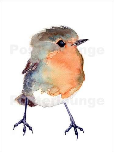 375x500 Verbrugge Watercolor Baby Robin Watercolour Poster Posterlounge