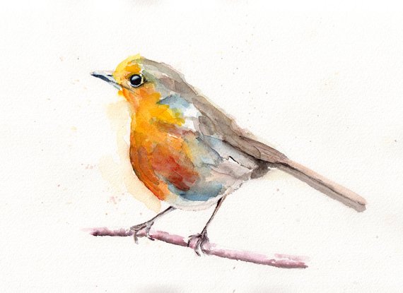 570x415 Watercolor Bird Watercolour Robin Bird Art Wall Art Etsy