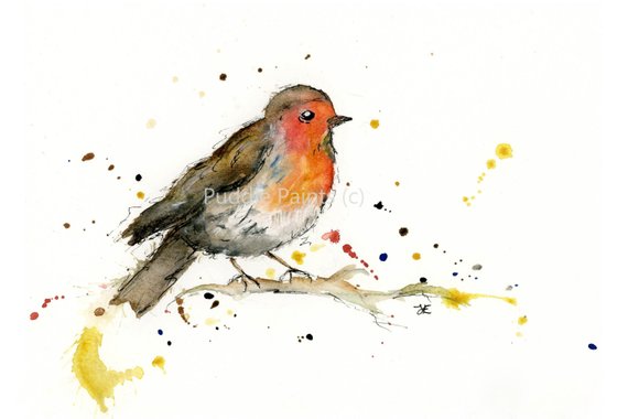 570x380 Watercolour Painting Robin Painting Bird Painting Etsy