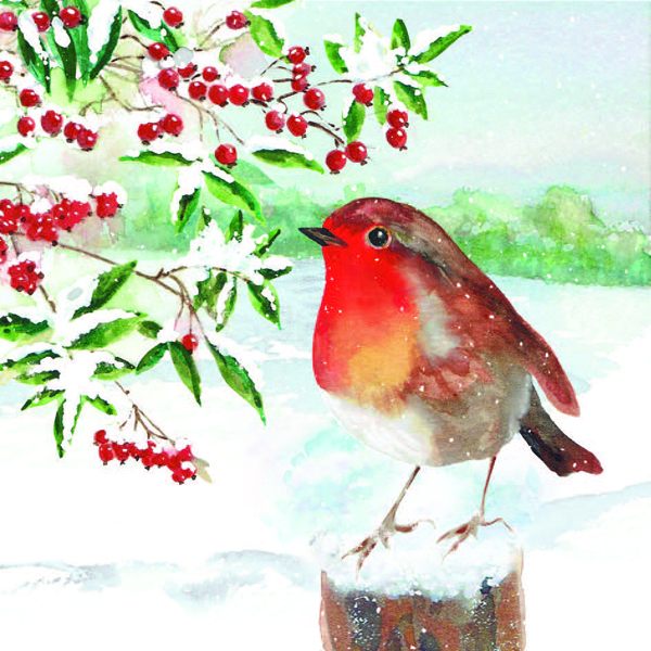 600x600 Watercolour Robin (Felt)