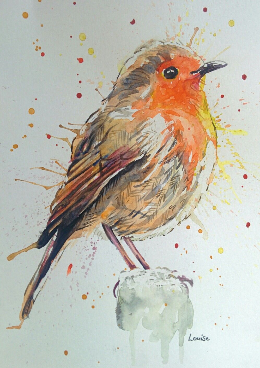 997x1409 Watercolour Robin Watercolour Animal Illustrations