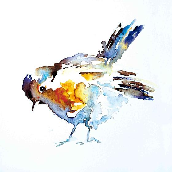 560x560 Watercolour Robin Christmas Cards (10 Pack)