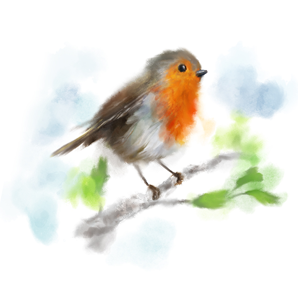 600x600 Watercolour Robin Large A3 Poster Martha Bowyer