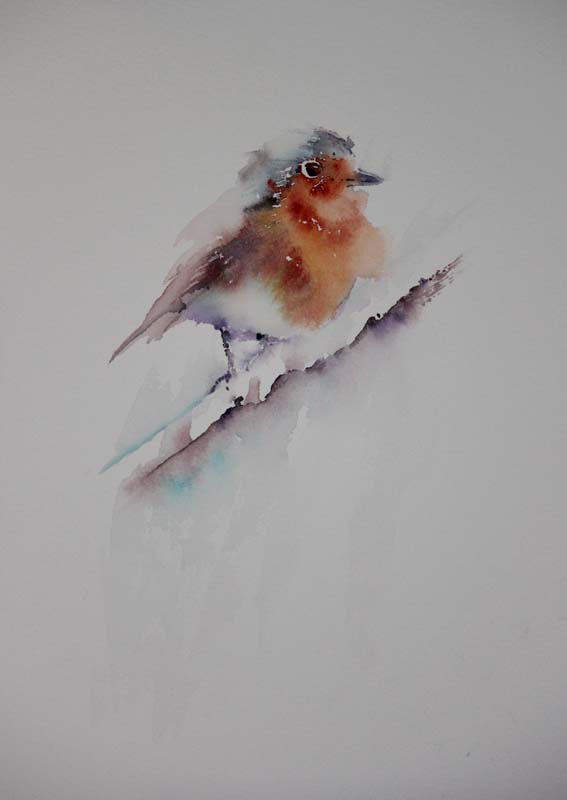 567x800 Watercolours With Life Robin In Watercolour 2016