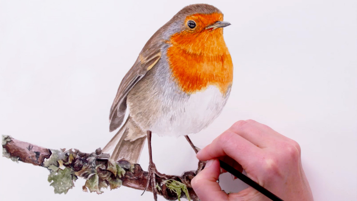 1471x827 How To Paint A Robin For Your Christmas Cards