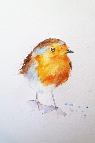 320x480 How To Paint A Robin In 8 Easy Steps.... Watercolours By Rachel