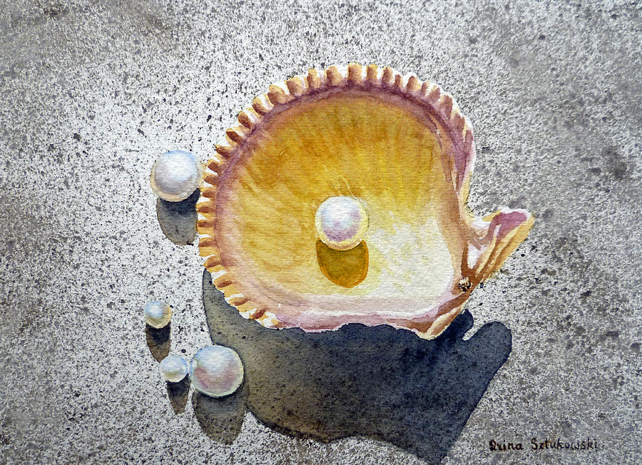 900x652 Sea Shell Watercolor Paintings Fine Art America