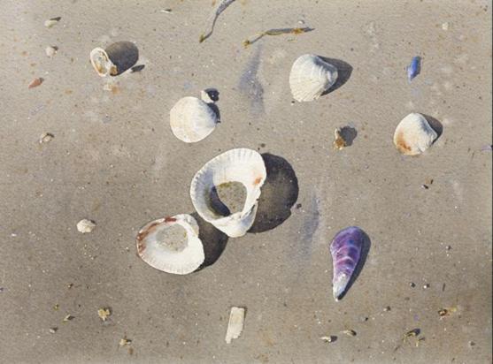 557x412 Stanislaw Zoladz Realistic Watercolor Paintings