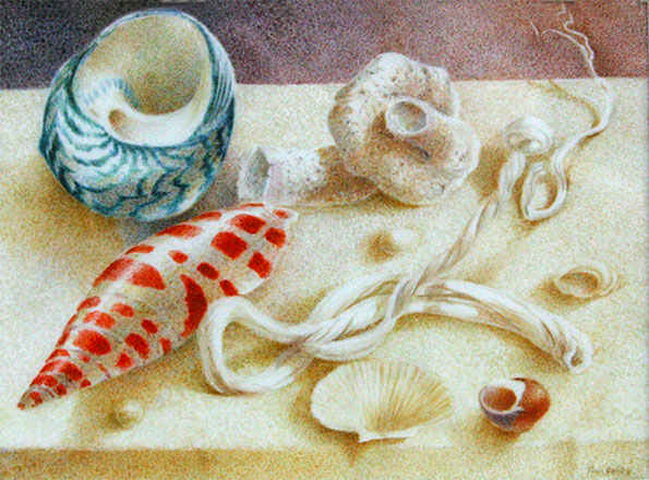 595x440 Still Life With Shells Watercolour On Vellum Miniature