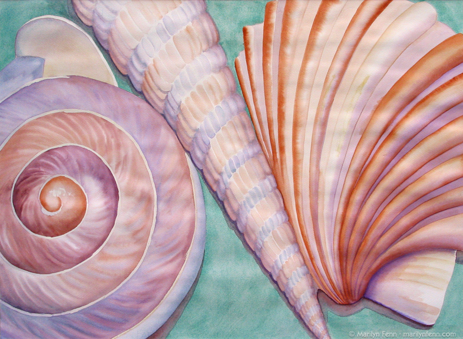 955x700 Tiny Shells Large Still Life Watercolor Painting On Paper By