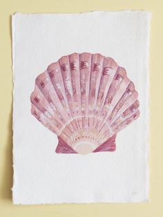236x314 Watercolor Seashells Paintings