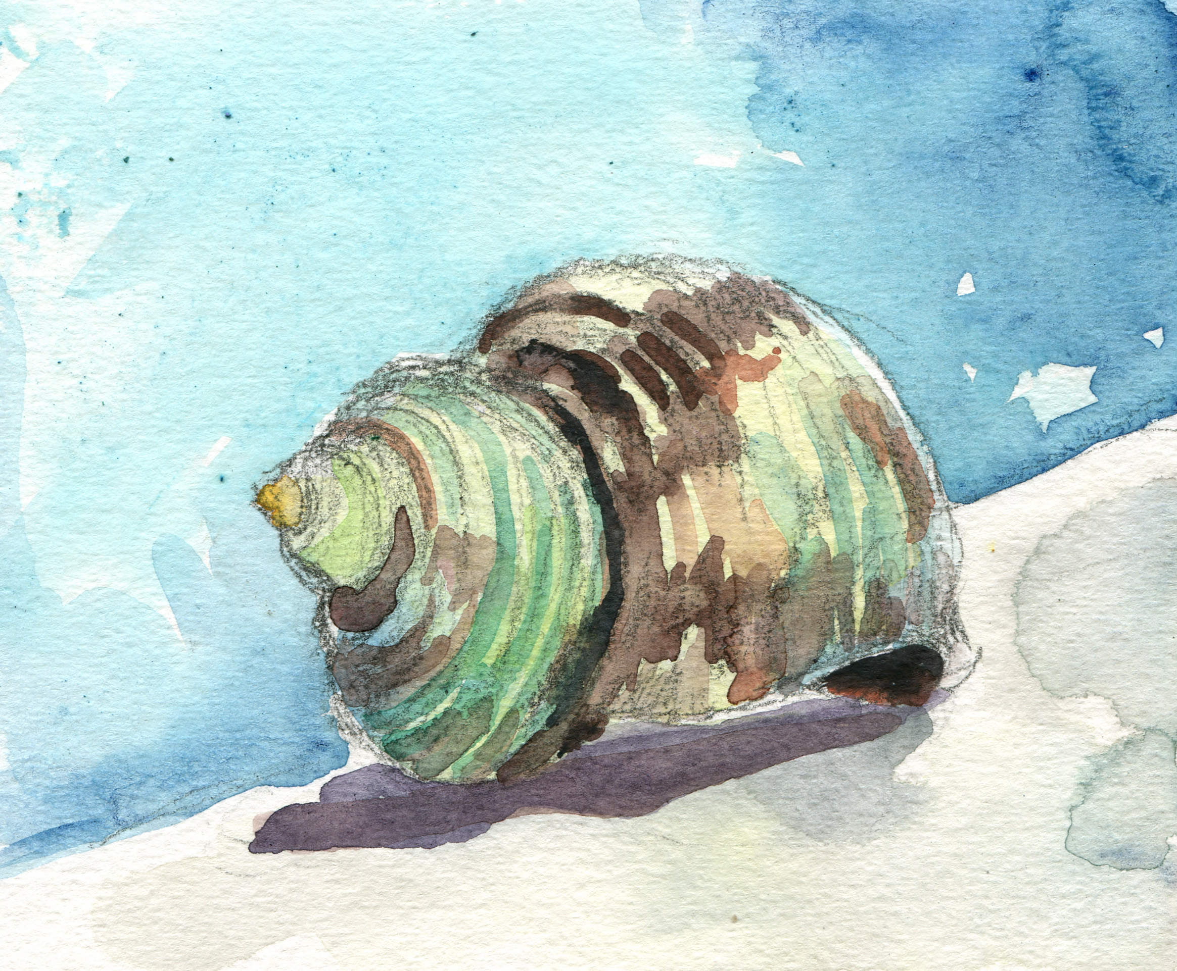 2329x1923 Watercolor Lemon A Day