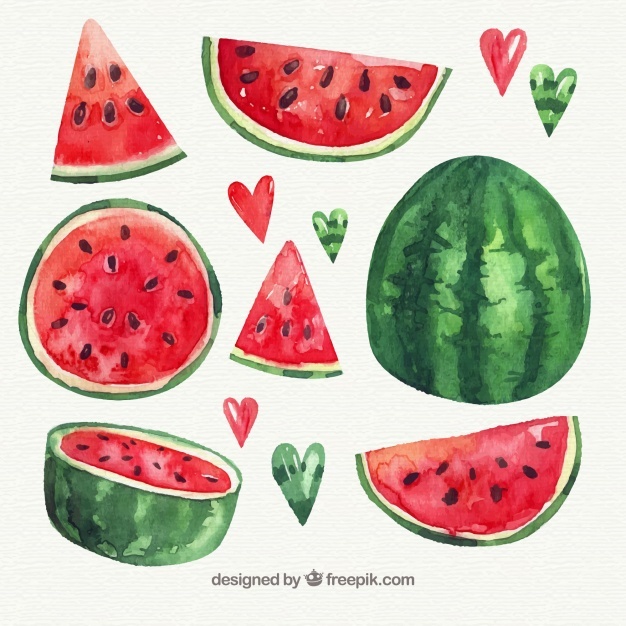 626x626 Watermelon Vectors, Photos And Psd Files Free Download