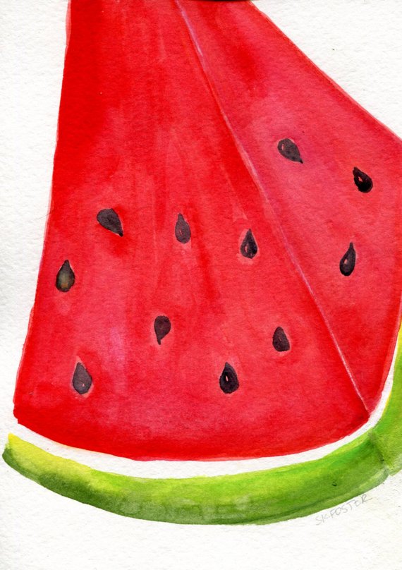 570x808 Watermelon Watercolor Painting Original Fruit 5 X 7 Original