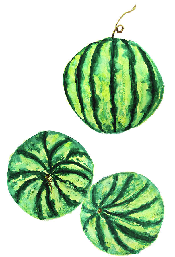 615x900 Watermelon Watercolor Painting By Color Color