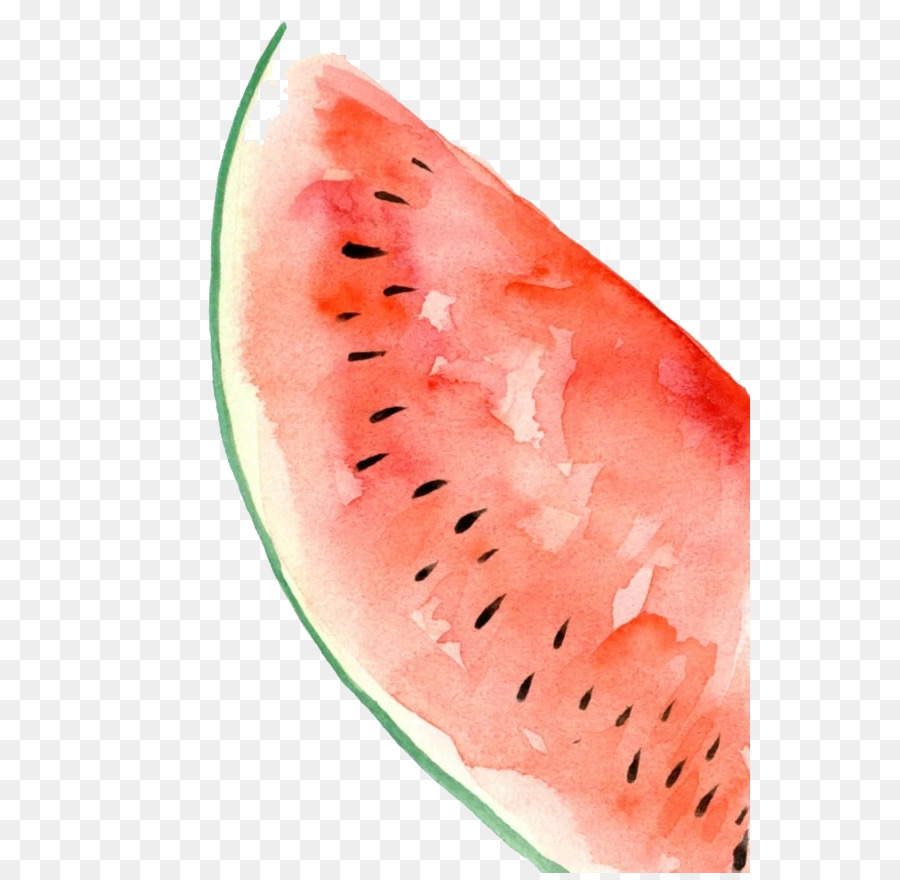900x880 Watermelon Watercolor Painting