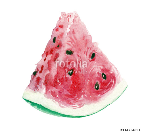 500x469 Slice Of Watermelon Watercolor Stock Photo And Royalty Free