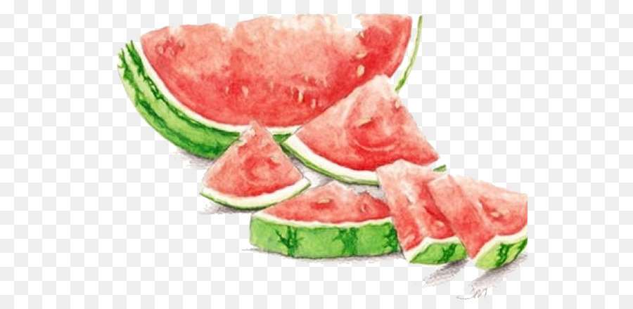 900x440 Download Watermelon Watercolor Painting Drawing Seedless Fr Hand