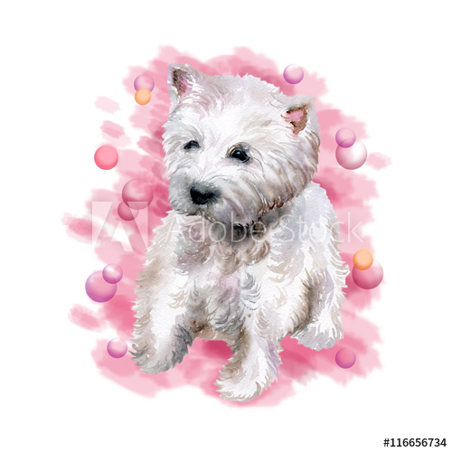 500x500 Watercolor Closeup Portrait Of West Highland White Terrier Breed
