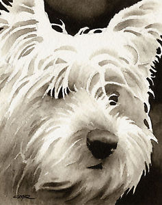 237x300 West Highland Terrier Art Print Sepia Watercolor Westie Painting