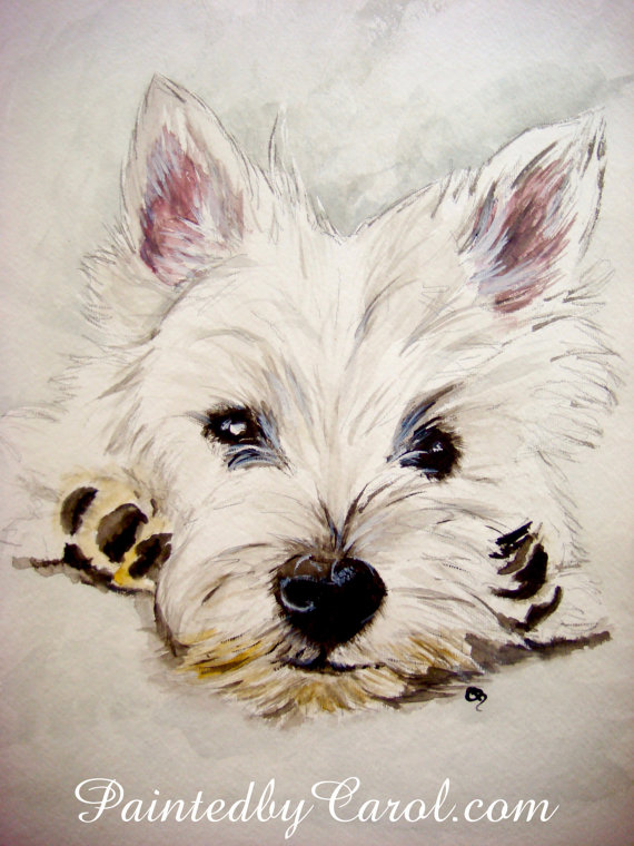 570x760 West Highland White Terrier Print, Westie Print, Westie Painting