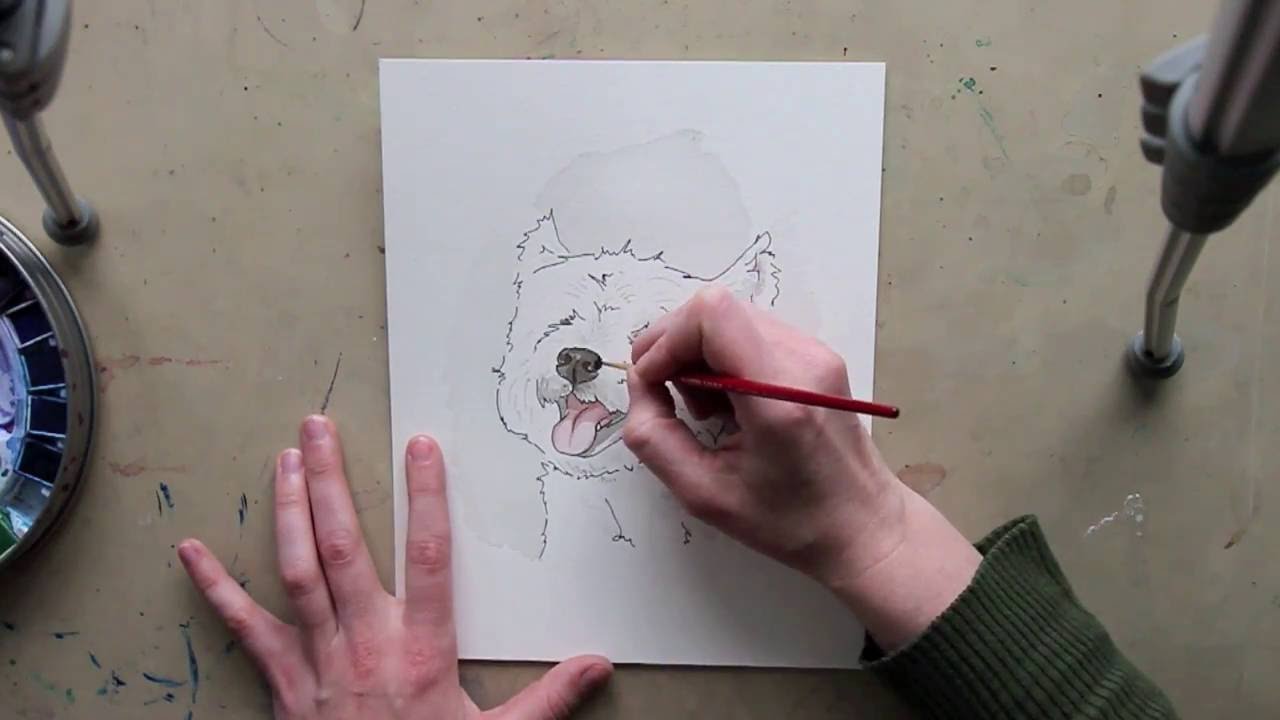 1280x720 Westie Watercolour Speedpaint