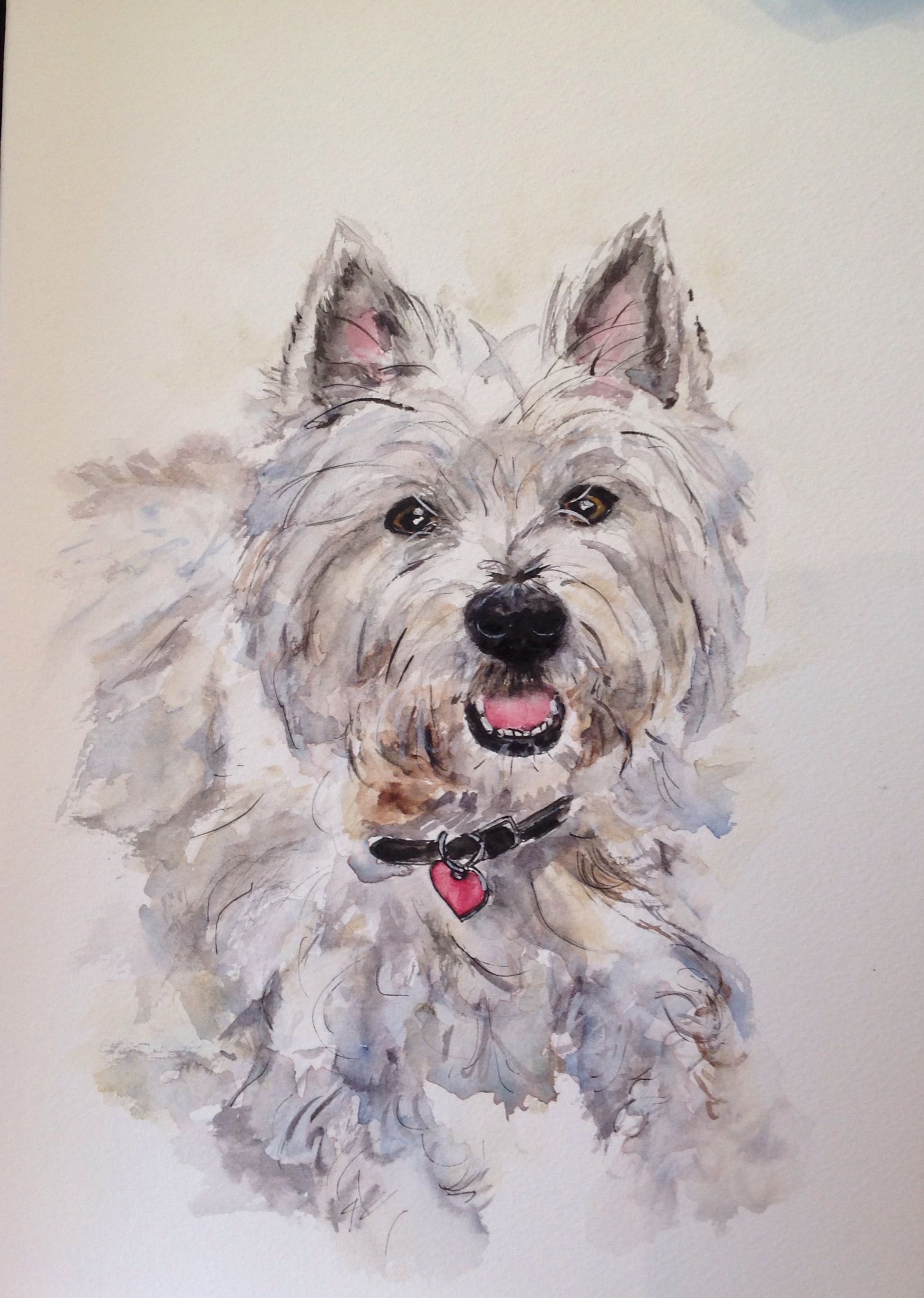 1637x2300 Westie...watercolour On Paper By Sheila Horrocks Westies