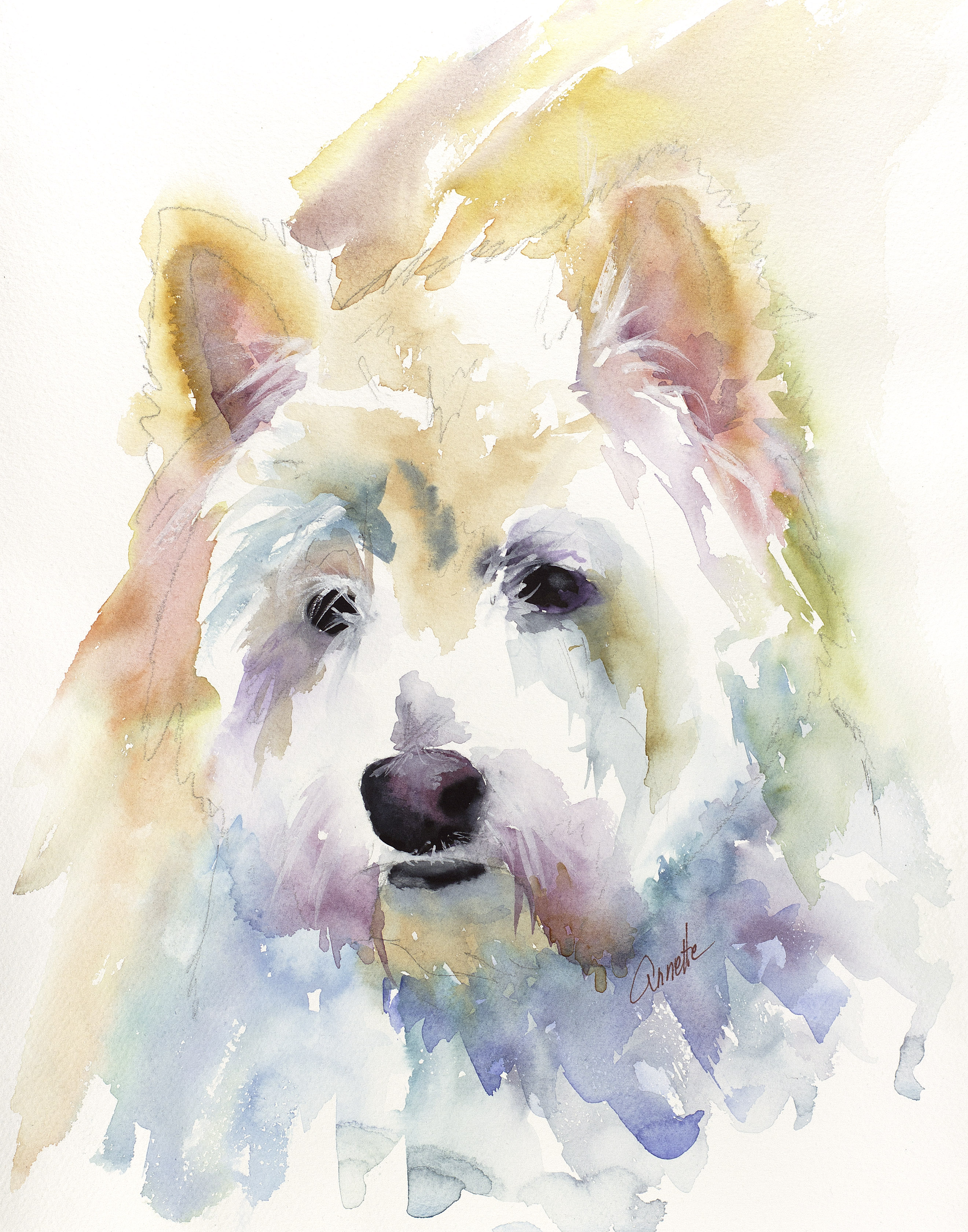 2640x3360 White Dogs Annette Bennett Watercolor Art