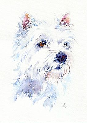 284x400 Watercolor Paintings Of West Highland Terriers