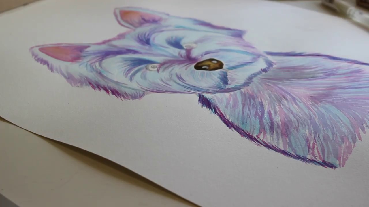 1280x720 Westie Watercolour Speed Painting