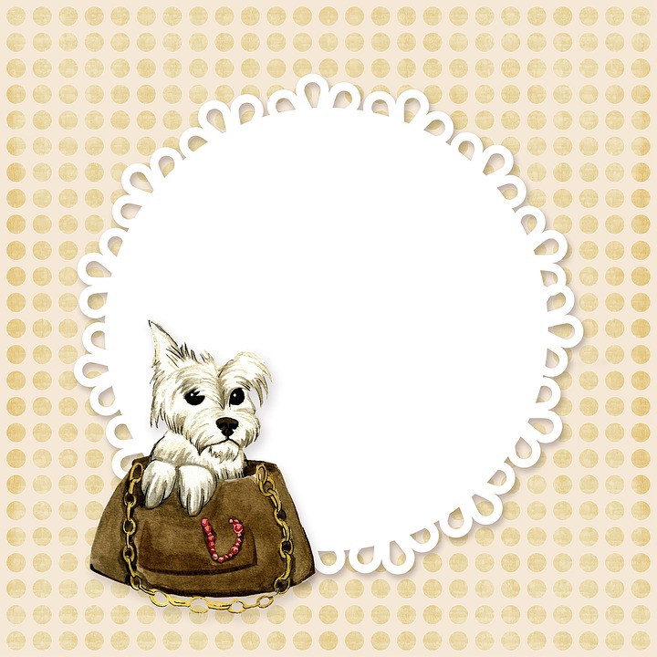 720x720 Free Photo Dog Watercolour Drawing Terrier Westie Watercolor