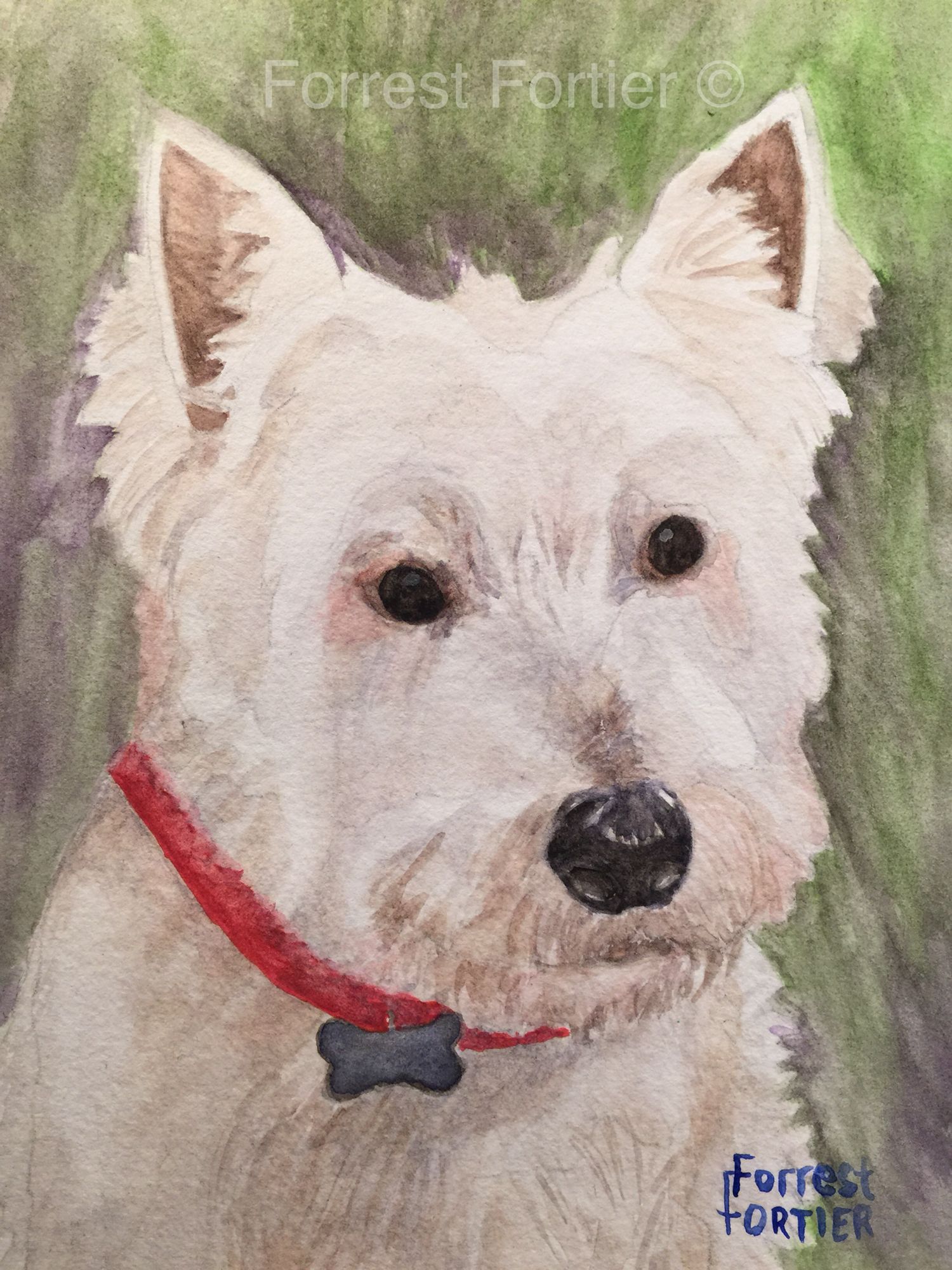1500x2000 Milo The Westie (Watercolor, 5x7) Art Art Studios