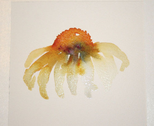 500x407 Watercolor Coneflowers With Wet In Wet Painting