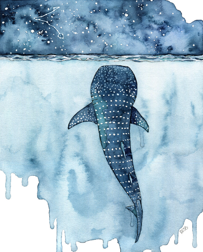 798x992 Watercolor Painting Whale Shark Painting Whale Painting Etsy