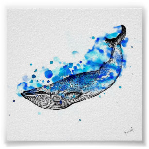 307x307 Watercolor Whale Posters Amp Photo Prints Zazzle Au