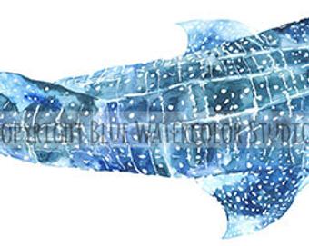 340x271 Whale Shark Painting