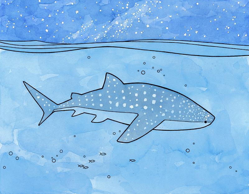800x626 Whale Shark Watercolor 18784 Enews