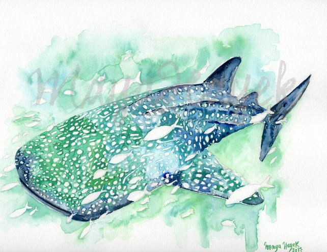 642x495 Whale Shark Whale Art Whale Nursery Beach Decor Whale Etsy