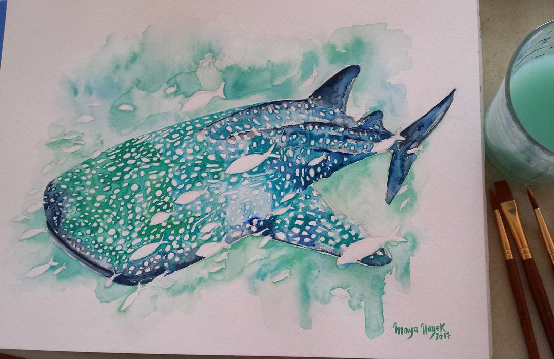 1080x699 Mayahayekart