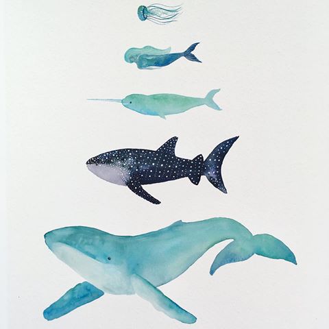 480x480 Images About