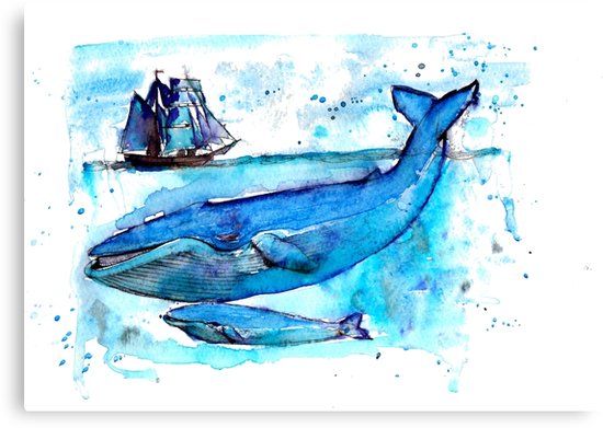 550x391 Humpback Whale, Humpback, Whale, Watercolor Humpback, Watercolor