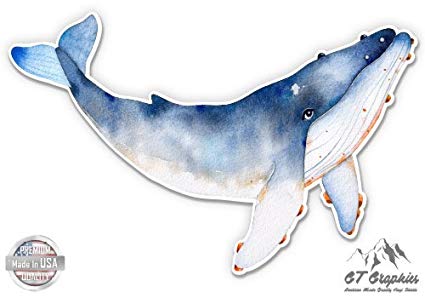 425x298 Whale Watercolor Beautiful